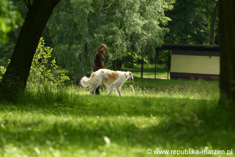 Swierklaniec 7VI09 Coursing 093