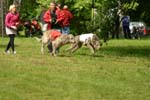 Swierklaniec 7VI09 Coursing 014