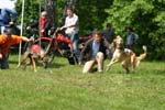 Swierklaniec 7VI09 Coursing 029