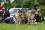 Swierklaniec 7VI09 Coursing 034
