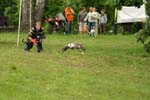 Swierklaniec 7VI09 Coursing 044