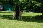 Swierklaniec 7VI09 Coursing 046