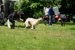 Swierklaniec 7VI09 Coursing 047