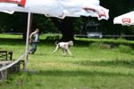Swierklaniec 7VI09 Coursing 052