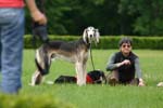 Swierklaniec 7VI09 Coursing 054