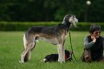 Swierklaniec 7VI09 Coursing 055
