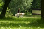 Swierklaniec 7VI09 Coursing 093
