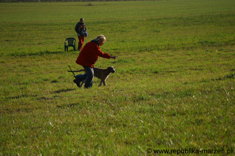 IMG_9215 Tullamore Cup 08