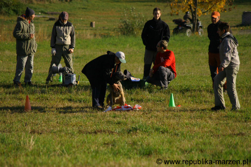 IMG_9218 Tullamore Cup 08