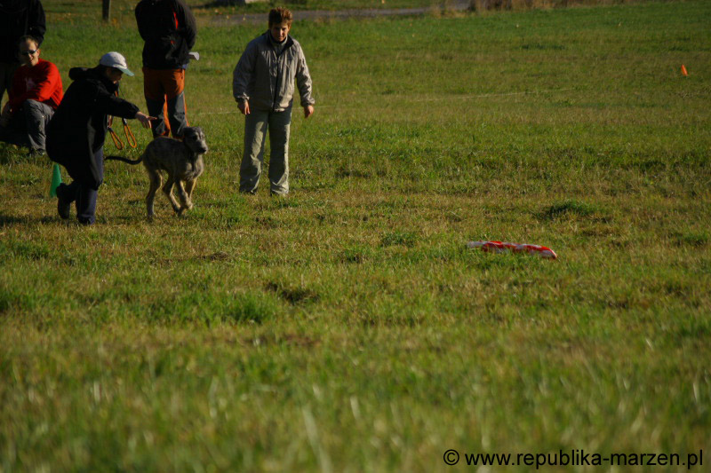 IMG_9220 Tullamore Cup 08