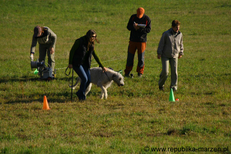 IMG_9257 Tullamore Cup 08