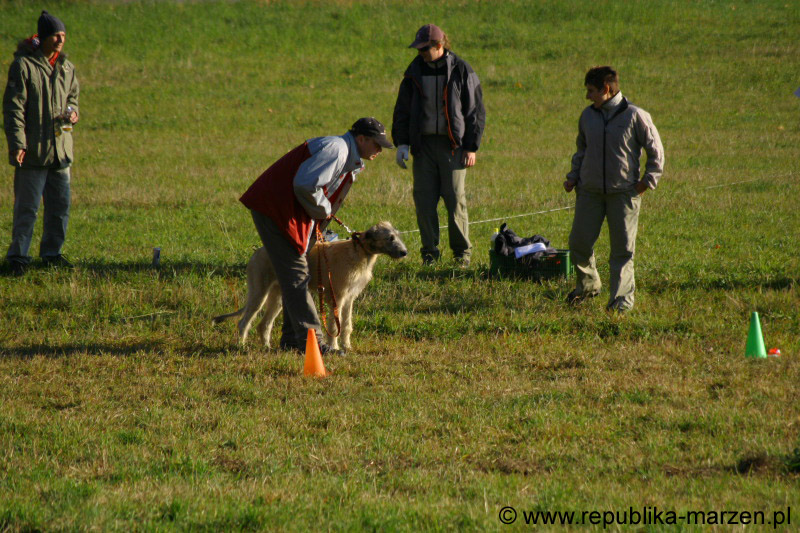 IMG_9272 Tullamore Cup 08