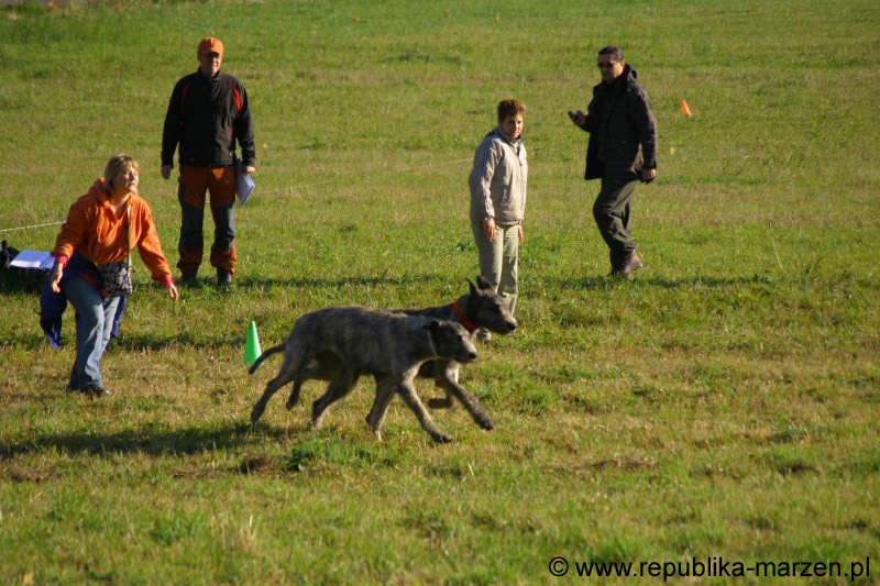 IMG_9280 Tullamore Cup 08