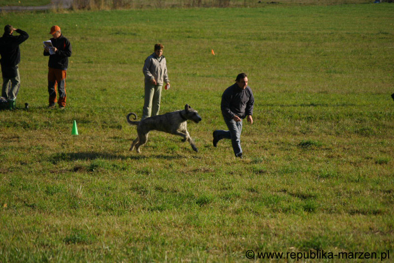 IMG_9292 Tullamore Cup 08