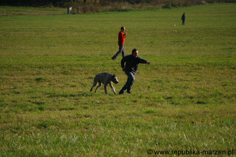 IMG_9293 Tullamore Cup 08