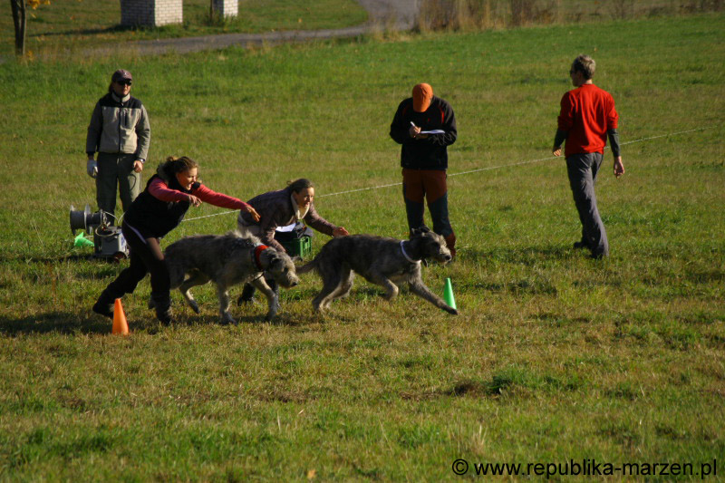 IMG_9304 Tullamore Cup 08