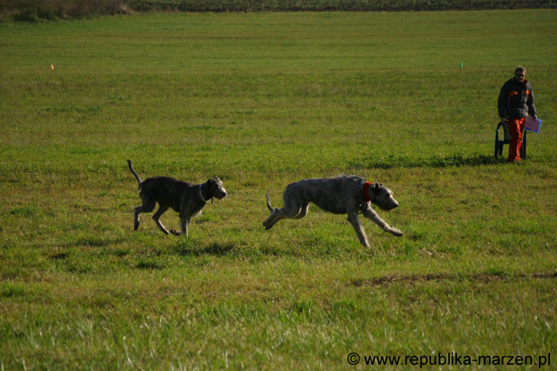 IMG_9307 Tullamore Cup 08