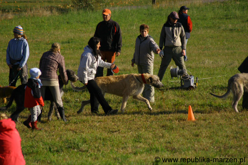 IMG_9317 Tullamore Cup 08