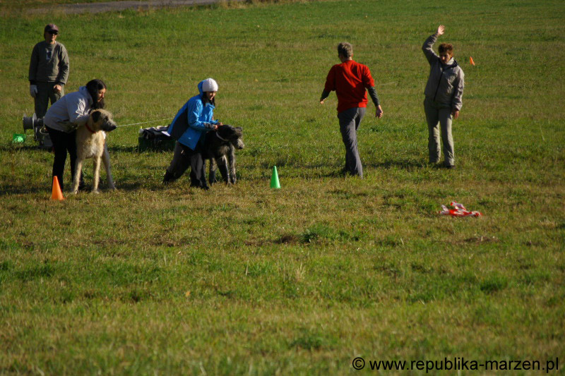 IMG_9326 Tullamore Cup 08