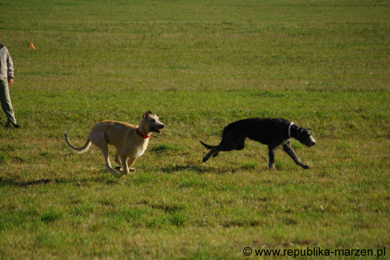 IMG_9327 Tullamore Cup 08