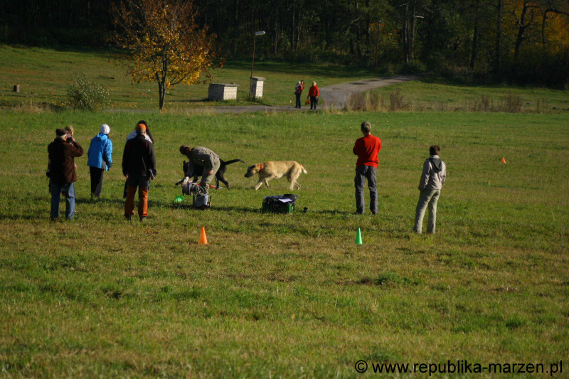IMG_9337 Tullamore Cup 08