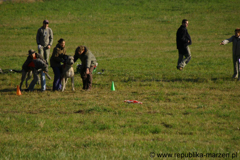 IMG_9338 Tullamore Cup 08