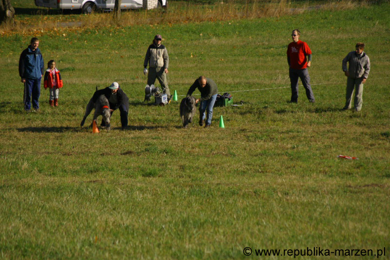 IMG_9355 Tullamore Cup 08