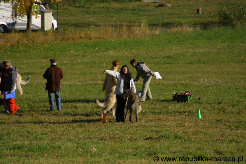 IMG_9369 Tullamore Cup 08