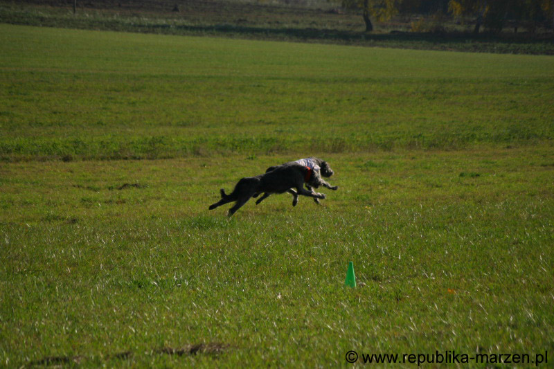 IMG_9382 Tullamore Cup 08