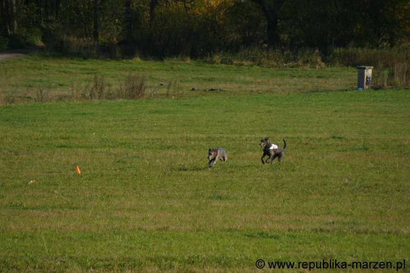 IMG_9388 Tullamore Cup 08