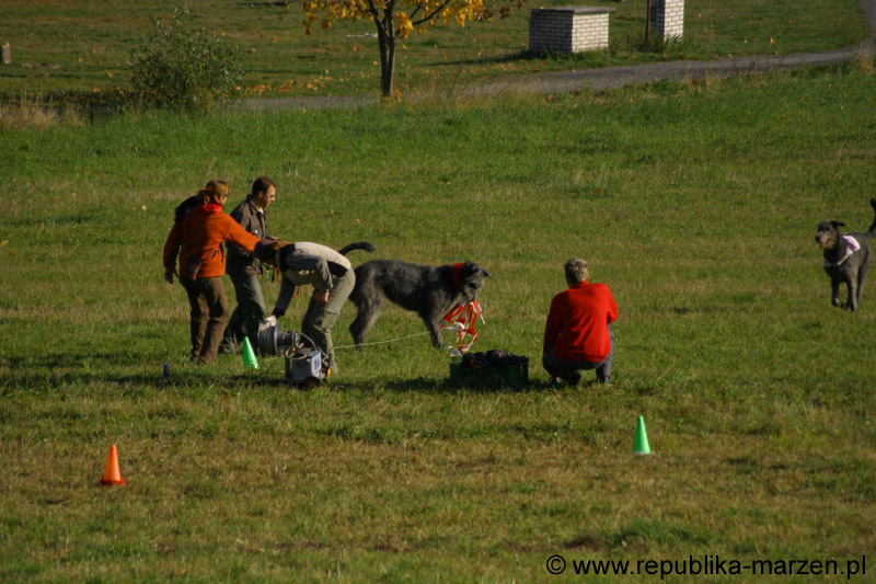 IMG_9391 Tullamore Cup 08