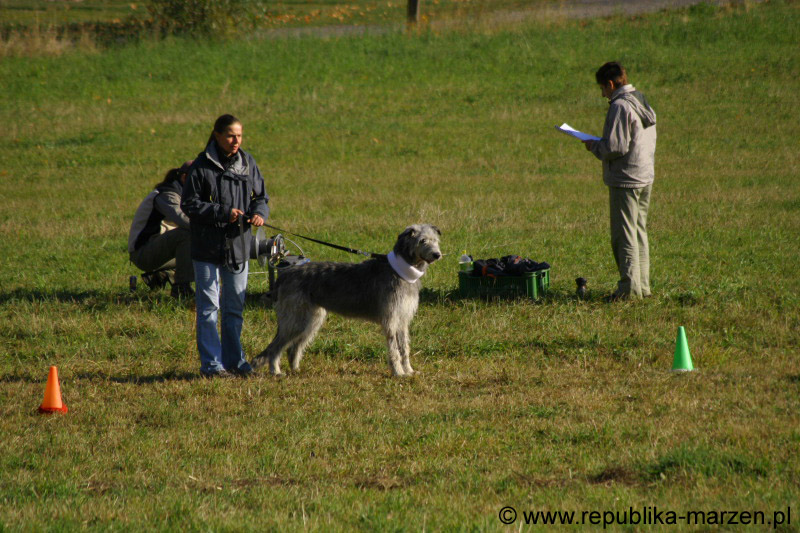 IMG_9392 Tullamore Cup 08
