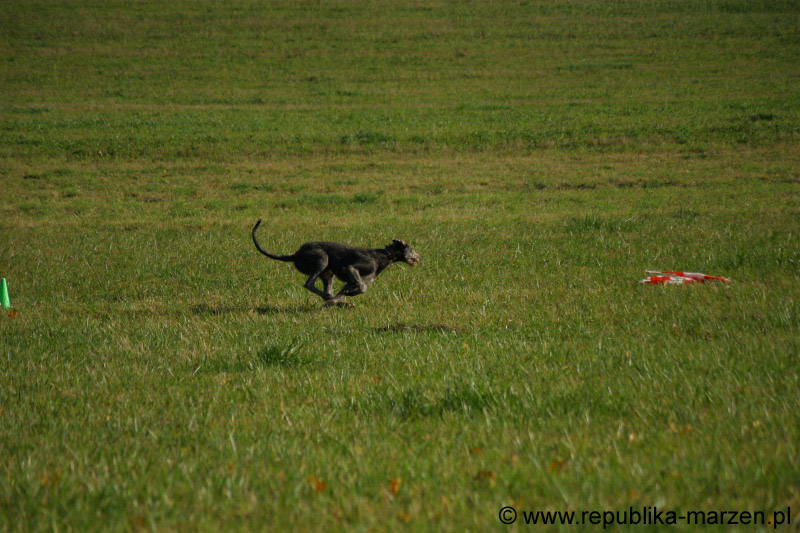 IMG_9396 Tullamore Cup 08
