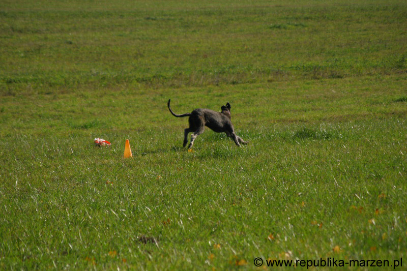 IMG_9400 Tullamore Cup 08
