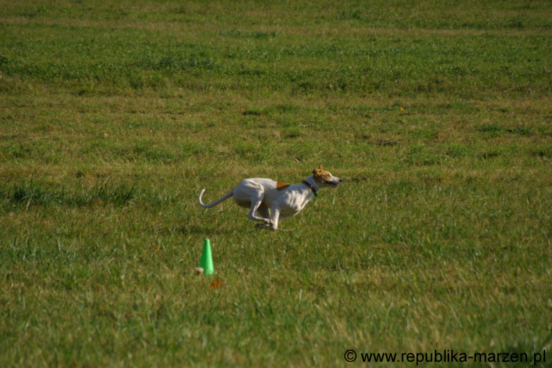IMG_9406 Tullamore Cup 08