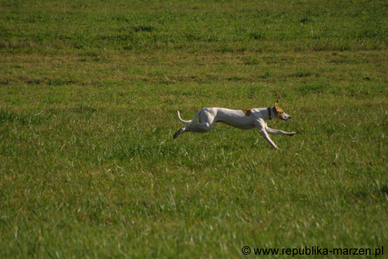 IMG_9408 Tullamore Cup 08