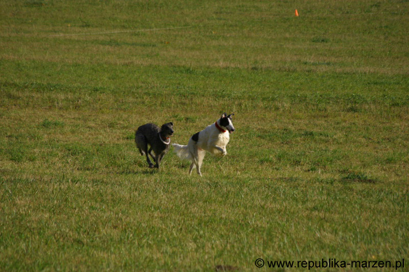 IMG_9426 Tullamore Cup 08
