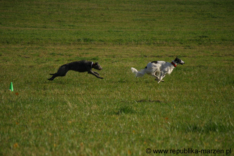 IMG_9428 Tullamore Cup 08