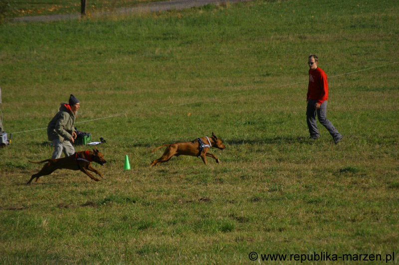 IMG_9447 Tullamore Cup 08