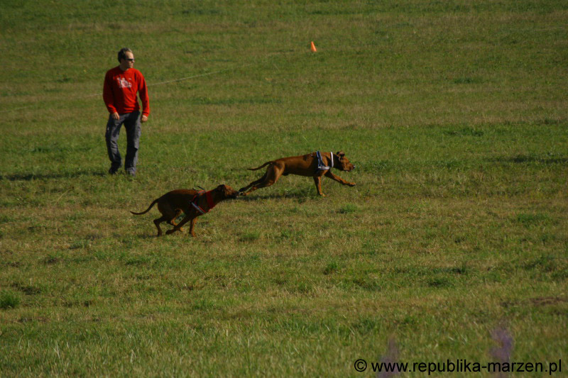 IMG_9448 Tullamore Cup 08