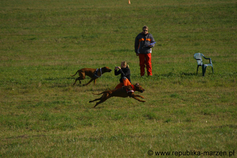 IMG_9450 Tullamore Cup 08