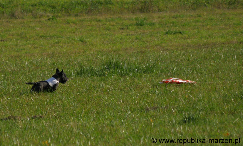 IMG_9468 Tullamore Cup 08