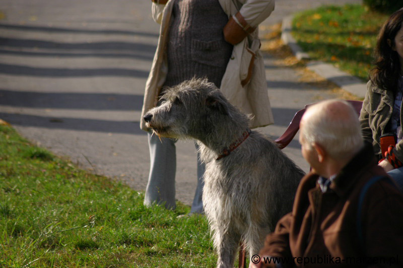 IMG_9484 Tullamore Cup 08