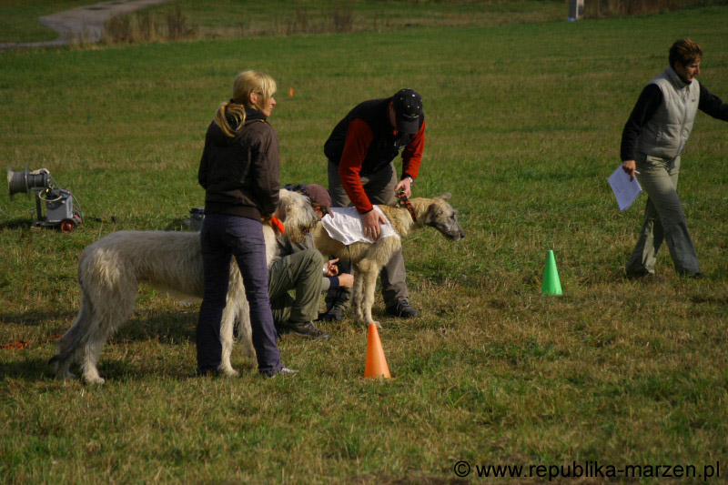IMG_9488 Tullamore Cup 08