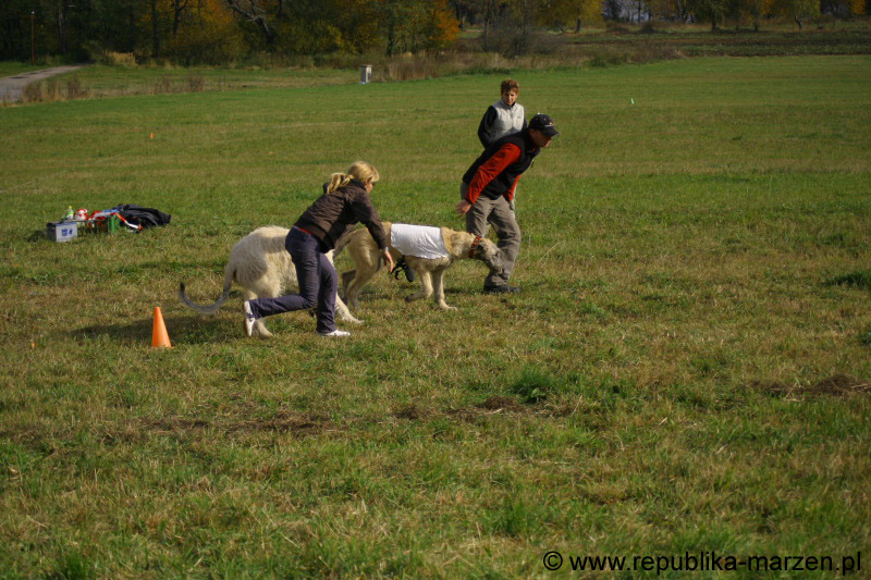 IMG_9491 Tullamore Cup 08