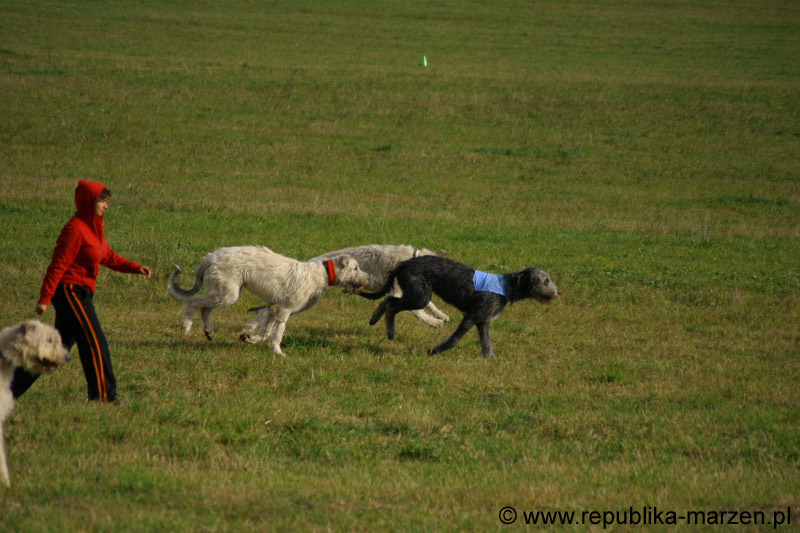 IMG_9507 Tullamore Cup 08