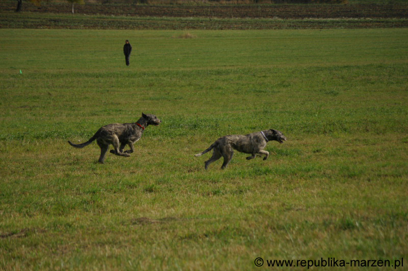 IMG_9514 Tullamore Cup 08