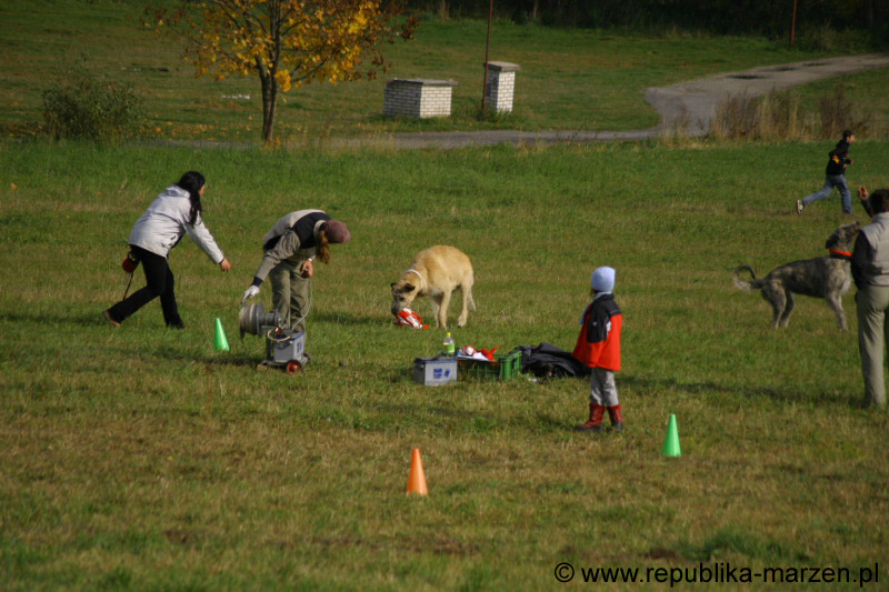 IMG_9536 Tullamore Cup 08