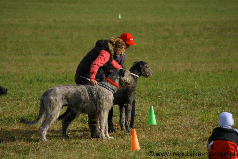 IMG_9539 Tullamore Cup 08