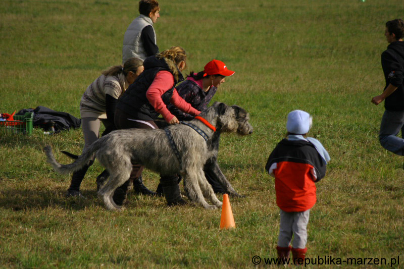 IMG_9541 Tullamore Cup 08